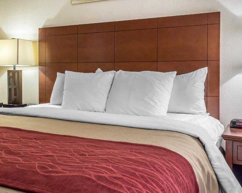 Comfort 4*